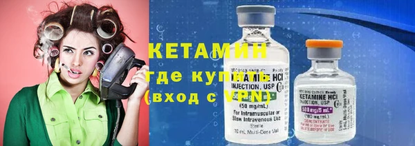 шишки Сатка