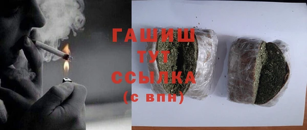 шишки Сатка