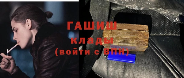 шишки Сатка