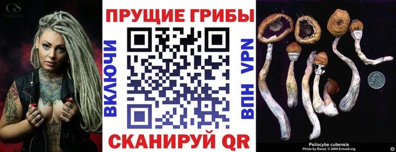 Галлюциногенные грибы мухоморы  мега ТОР  Алупка 